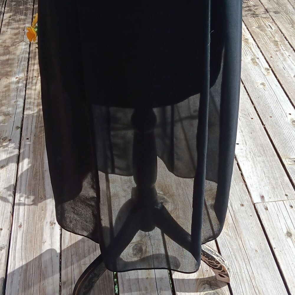 Ladakh Lace and Sheer Black Evening Dress Whimsigoth - Picture 14 of 16